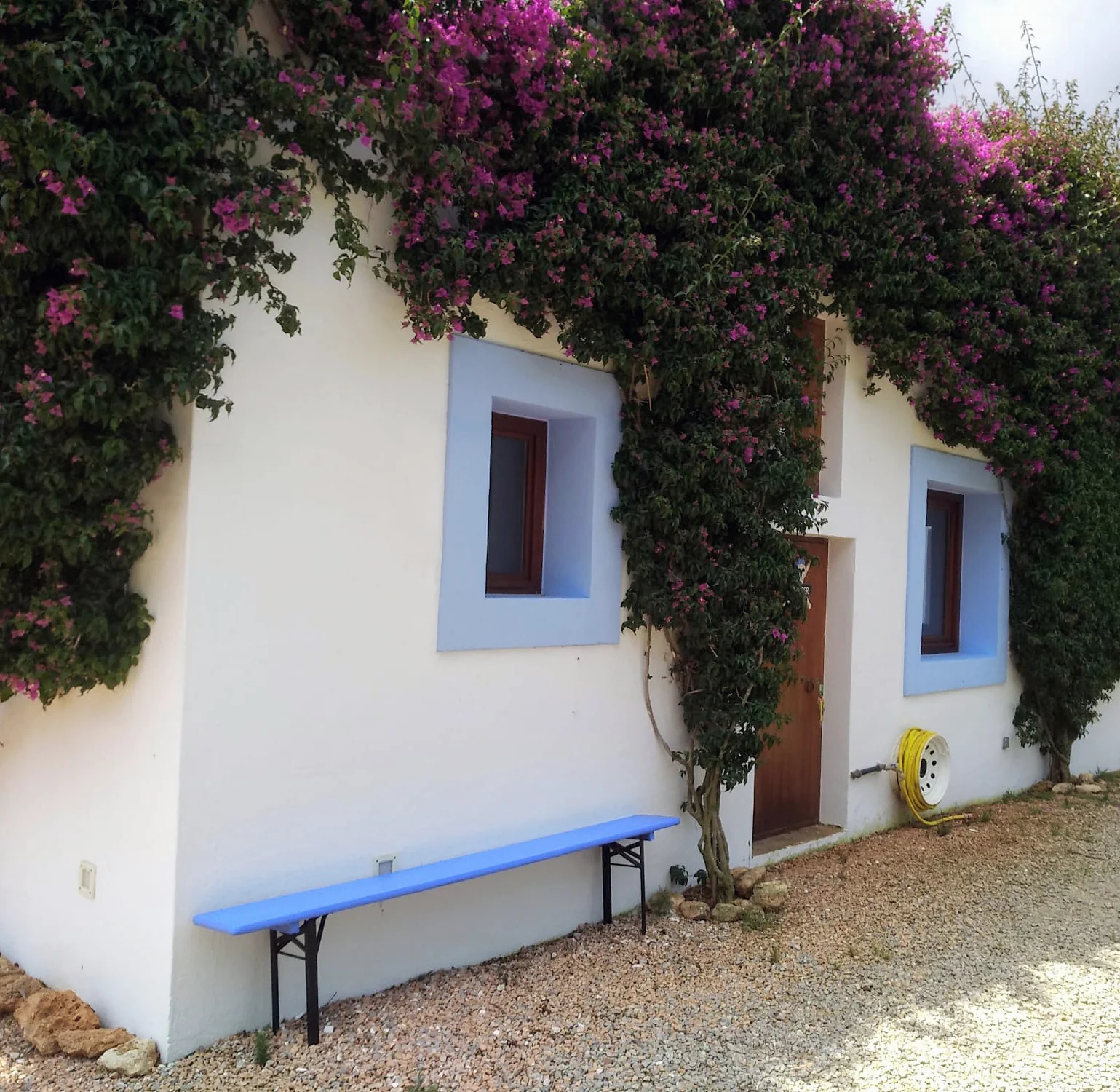 Fachada ibicenca cubierta de buganvillas