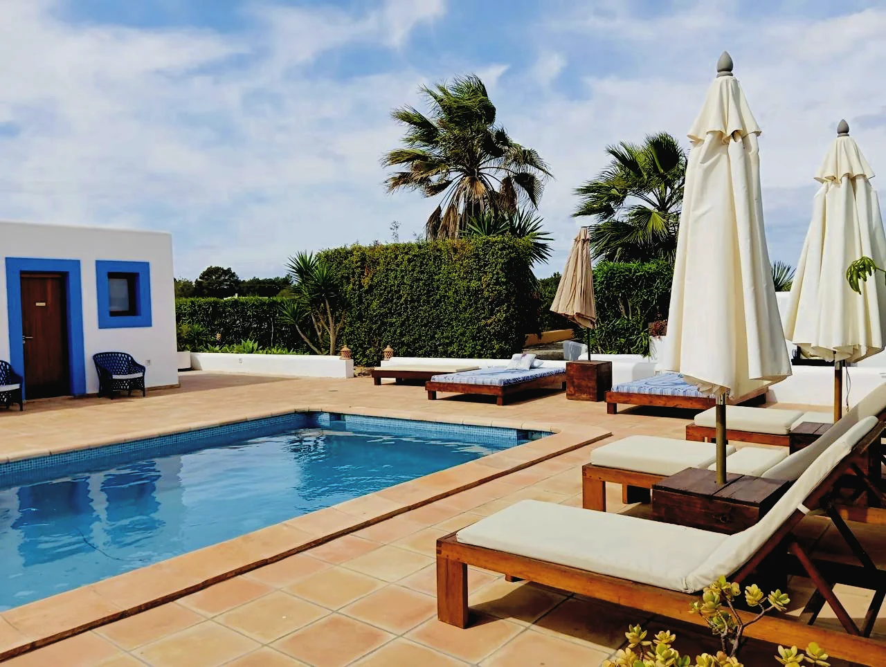 Piscina con tumbonas y vegetación mediterránea