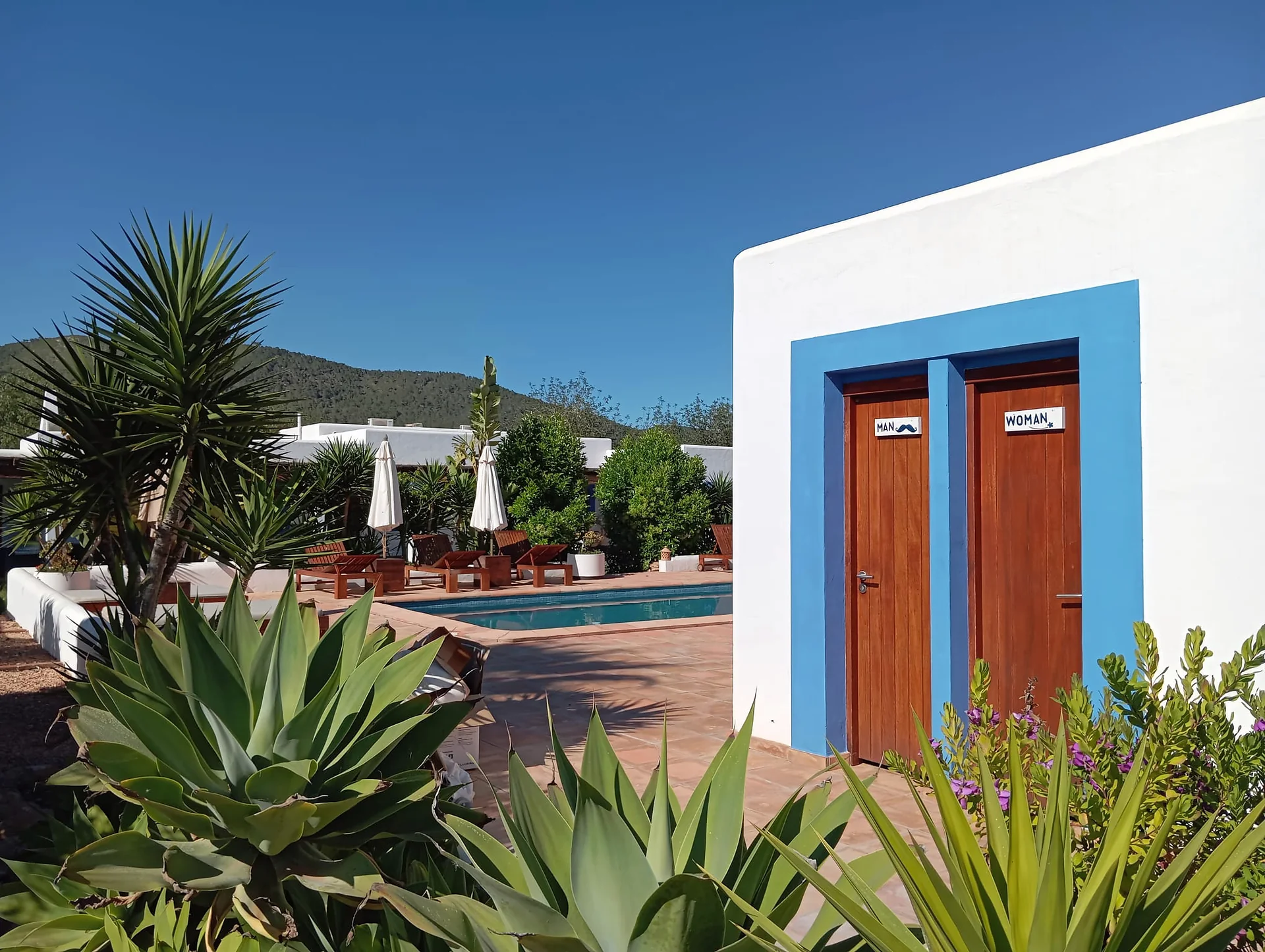 Acceso y jardines junto a la piscina